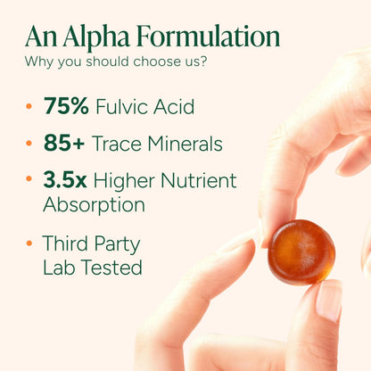 Root Labs Alpha 10-in-1 Shilajit Gummies